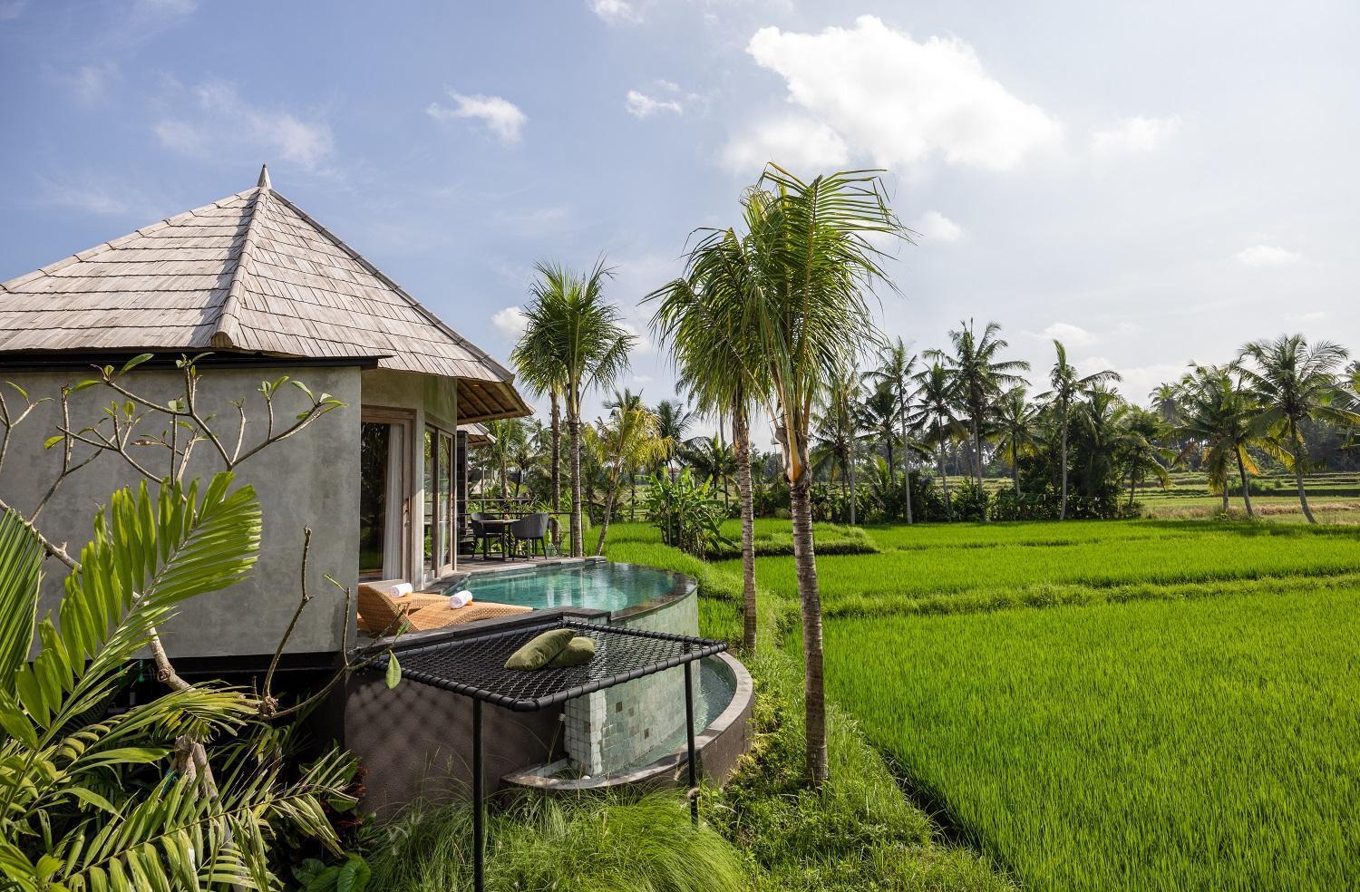 Thewakanda A Pramana Experience Ubud